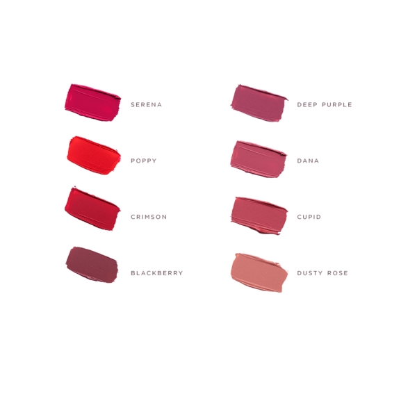 Lipsticks Overzicht Nieuwe Kleuren 2022 (websize Transp Achtergrond) (1)